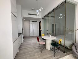 Kallang Riverside (D12), Apartment #555321771